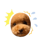 犬のおてんばひまわり2（個別スタンプ：8）