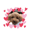 犬のおてんばひまわり2（個別スタンプ：12）