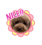 犬のおてんばひまわり2（個別スタンプ：13）