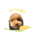 犬のおてんばひまわり2（個別スタンプ：14）