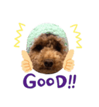 犬のおてんばひまわり2（個別スタンプ：15）