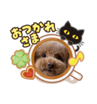 犬のおてんばひまわり2（個別スタンプ：16）