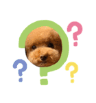 犬のおてんばひまわり2（個別スタンプ：18）