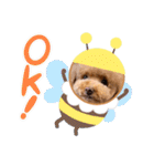 犬のおてんばひまわり2（個別スタンプ：22）