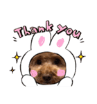 犬のおてんばひまわり2（個別スタンプ：23）