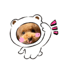 犬のおてんばひまわり2（個別スタンプ：24）