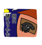 おむつ犬（個別スタンプ：37）