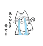 しまねこのけにゃ太（個別スタンプ：8）