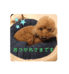 pola9 丁寧（個別スタンプ：2）