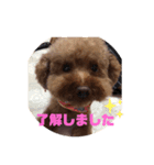 pola9 丁寧（個別スタンプ：4）