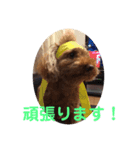 pola9 丁寧（個別スタンプ：5）