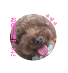 pola9 丁寧（個別スタンプ：8）