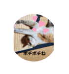 おやこちゃん2（個別スタンプ：2）