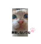 おやこちゃん2（個別スタンプ：5）