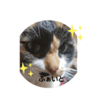 おやこちゃん2（個別スタンプ：6）