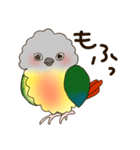 ワキコガネイロウロコインコ（個別スタンプ：12）