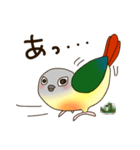 ワキコガネイロウロコインコ（個別スタンプ：16）