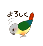 ワキコガネイロウロコインコ（個別スタンプ：18）