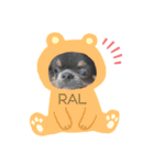 paru ❤︎ French bulldog（個別スタンプ：10）