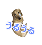 まいにち はっぴぃ♡2（個別スタンプ：10）