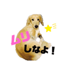 まいにち はっぴぃ♡2（個別スタンプ：17）