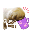 まいにち はっぴぃ♡2（個別スタンプ：18）