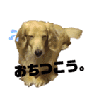 まいにち はっぴぃ♡2（個別スタンプ：20）