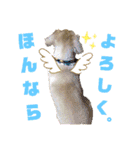 まいにち はっぴぃ♡2（個別スタンプ：21）