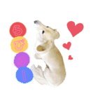 まいにち はっぴぃ♡2（個別スタンプ：24）