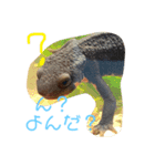 イモリさんが喋った‼️（個別スタンプ：8）