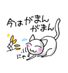 笑う猫★猫型コロニャ★（個別スタンプ：40）