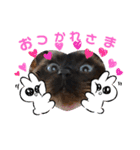 三男z  3rd（個別スタンプ：4）