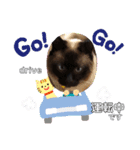 三男z  3rd（個別スタンプ：8）
