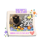 三男z  3rd（個別スタンプ：16）