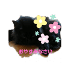 仲良し猫ちゃんファミリー3（個別スタンプ：30）