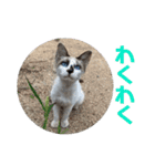 にぼ氏（個別スタンプ：13）