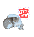 にぼ氏（個別スタンプ：19）