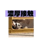 にぼ氏（個別スタンプ：20）