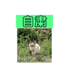 にぼ氏（個別スタンプ：23）