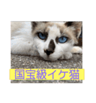 にぼ氏（個別スタンプ：26）