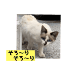 にぼ氏（個別スタンプ：28）