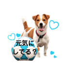 ジャックのロッタちゃん☆3（個別スタンプ：3）