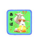 ジャックのロッタちゃん☆3（個別スタンプ：6）