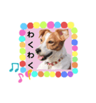 ジャックのロッタちゃん☆3（個別スタンプ：8）
