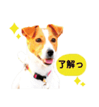 ジャックのロッタちゃん☆3（個別スタンプ：11）