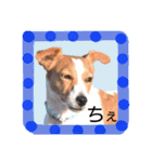 ジャックのロッタちゃん☆3（個別スタンプ：18）