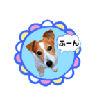 ジャックのロッタちゃん☆3（個別スタンプ：20）
