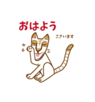 ジャンピエール・ミィミィ（個別スタンプ：1）