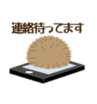 ハリネズミ好きのあなたへ 日常会話/敬語編（個別スタンプ：24）