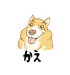 名犬きららとゆかいな仲間たち（個別スタンプ：2）